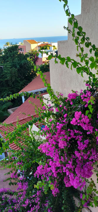 Gartenanlage Anissa Beach & Village