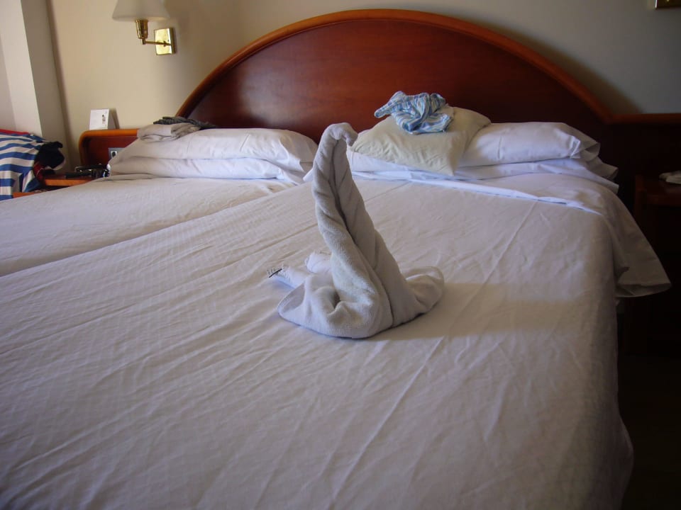 Liebevoll von Rosa dekoriert Hipotels Hipocampo Playa