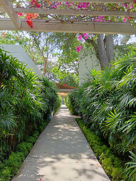 Gartenanlage The Standard, Hua Hin