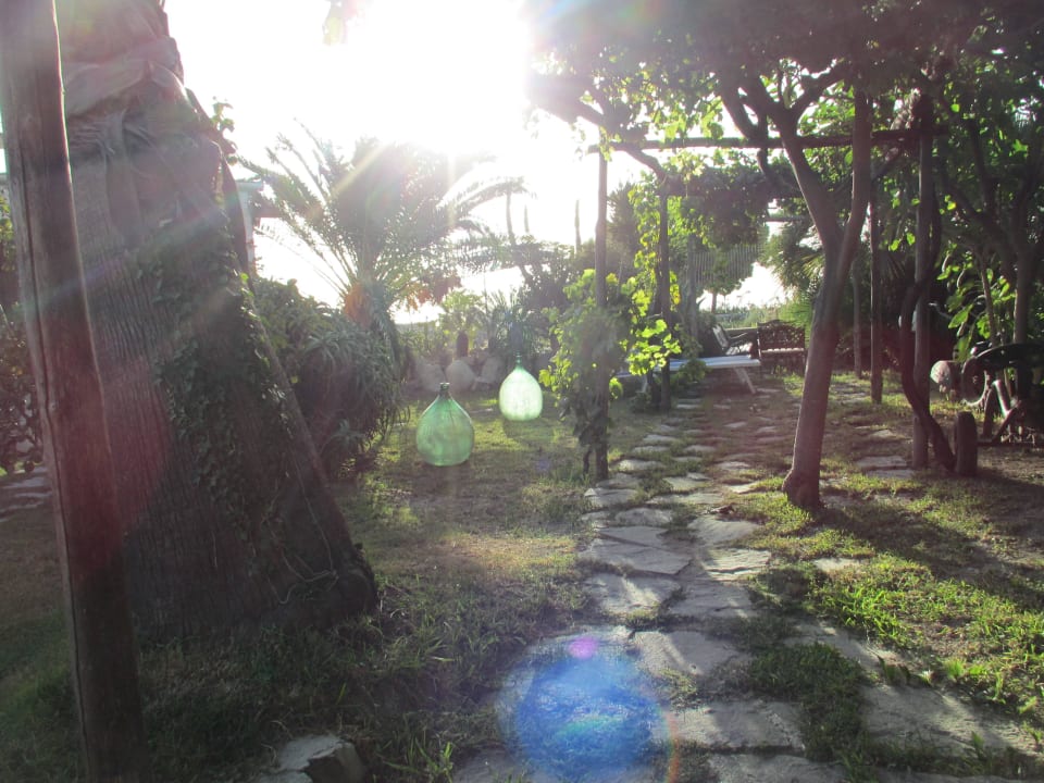 Stimmungsvoller Garten Villa Melodie