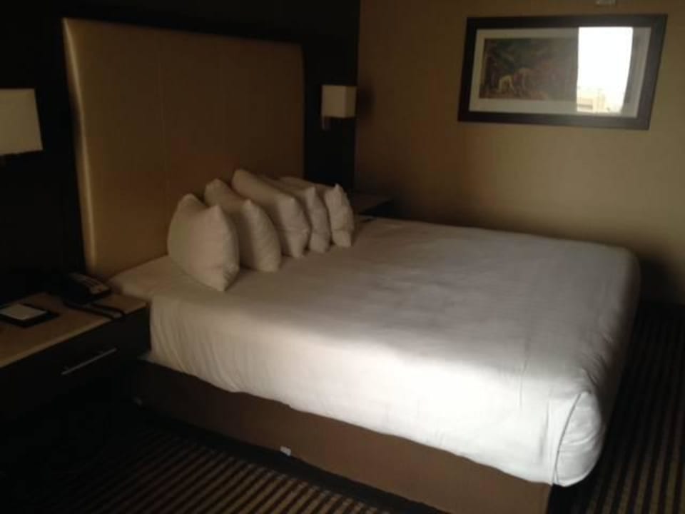Pretty comfy bed Hyatt Regency DFW International Airport