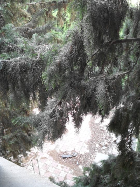 Blick aus Zimmer 404 Hotel Shah Palace