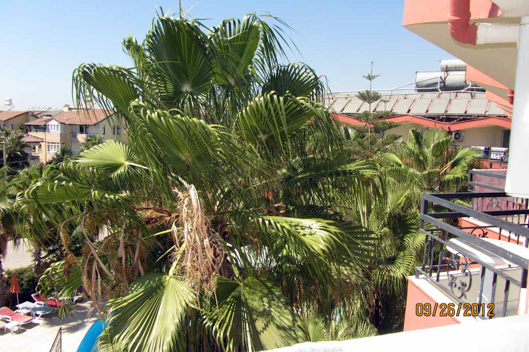 Mann sieht nicht wirklich was Semoris Hotel