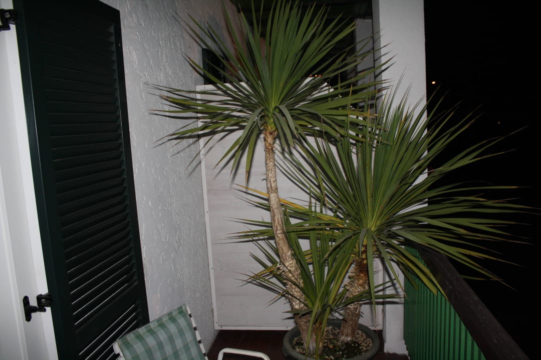 Aussicht Hotel Pension Verdorfer