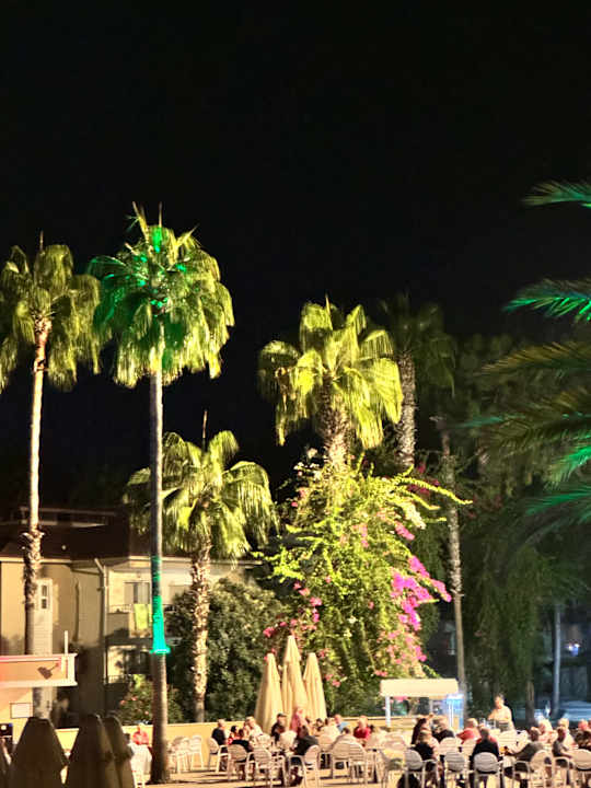 Gartenanlage Club Sidelya Hotel