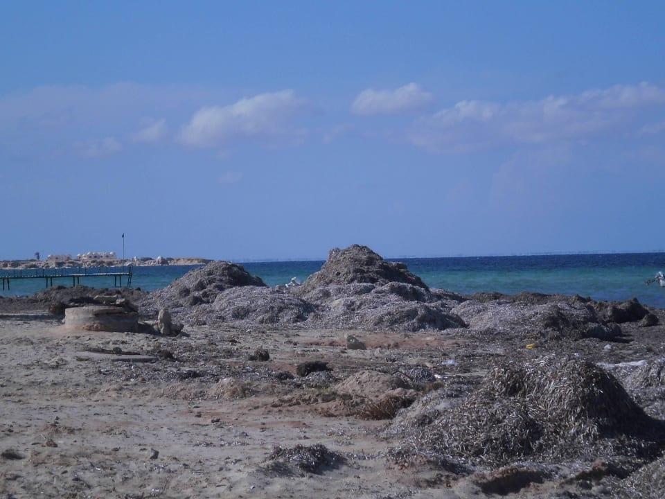 Furchtbare Realität...Öko sag ich.. Hotel Sangho Club Zarzis