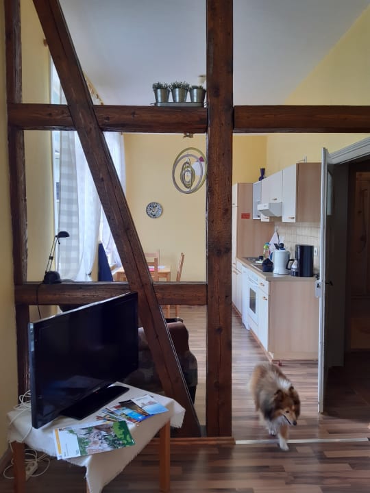 Zimmer Apartment Fliege