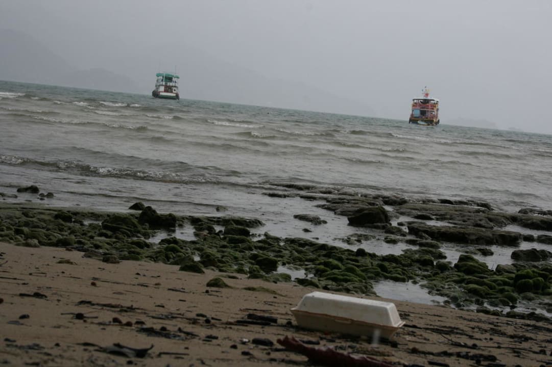 Strandabschnitt bei Ebbe Coconut Beach Resort, Koh Chang