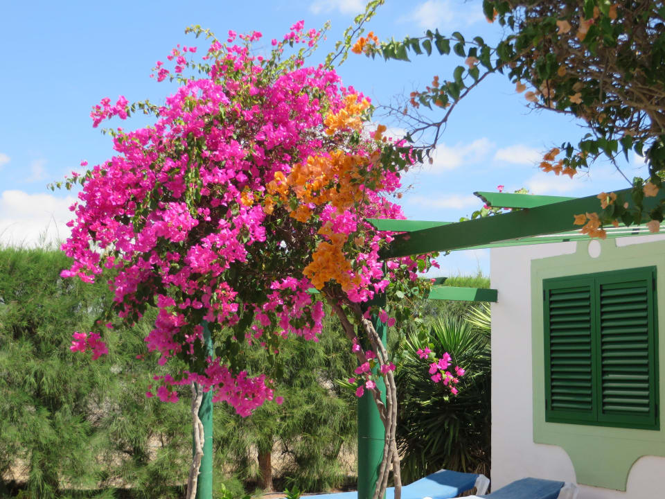 Bungalow Bungalows Cordial Sandy Golf