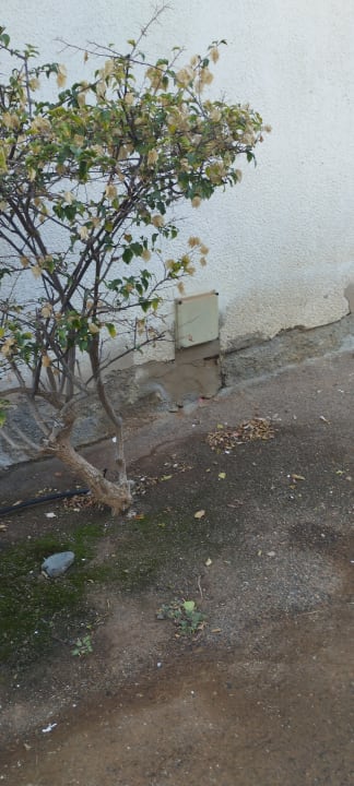 Gartenanlage Sun Club Playa del Ingles