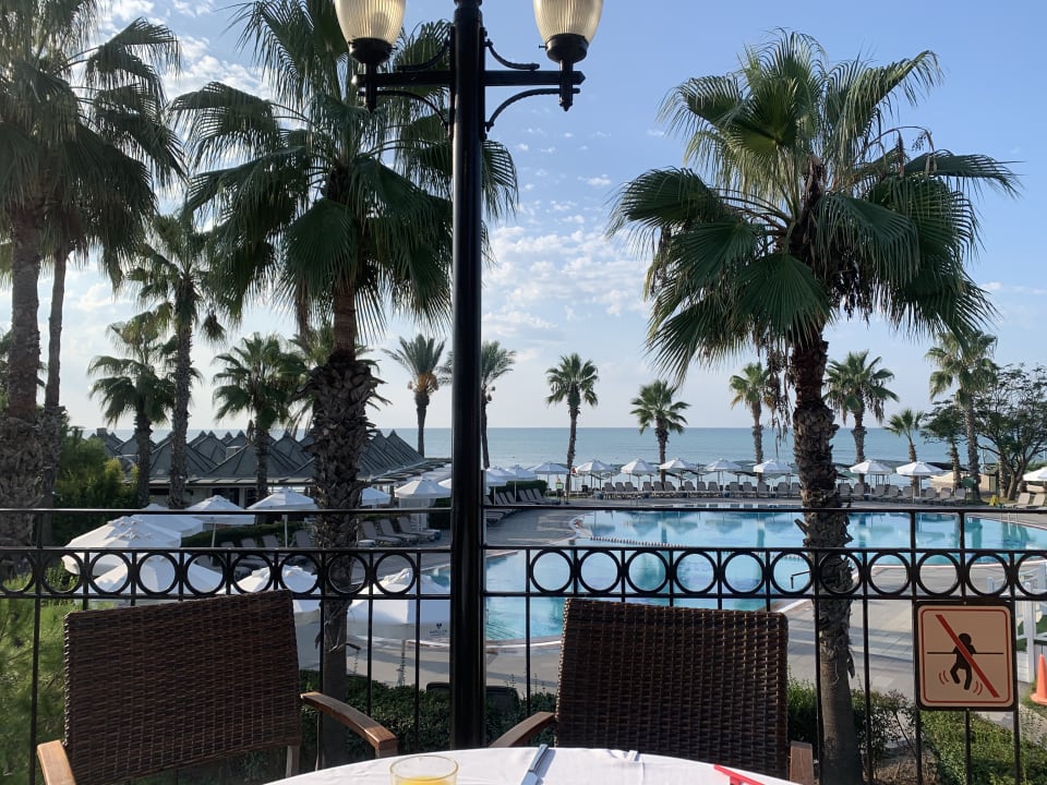 Gastro Papillon Belvil