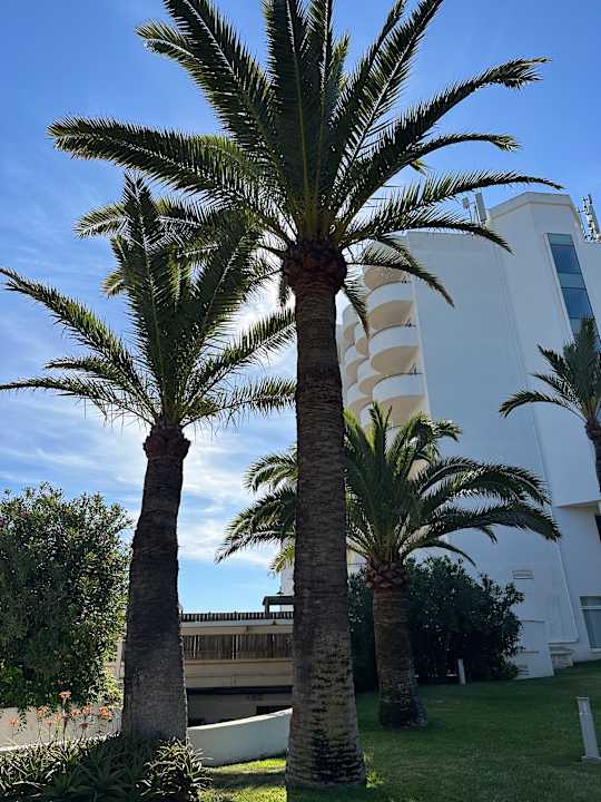 Außenansicht La Santa Maria Hotel