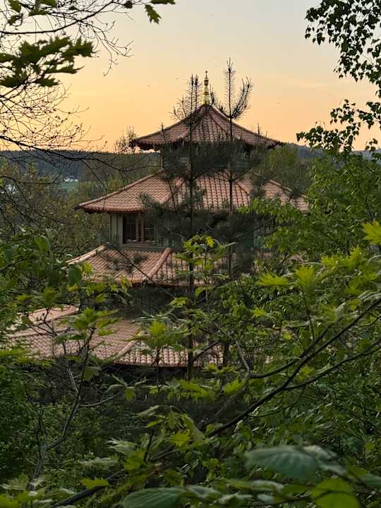 Außenansicht Spirit & SPA Hotel Birkenhof am Elfenhain
