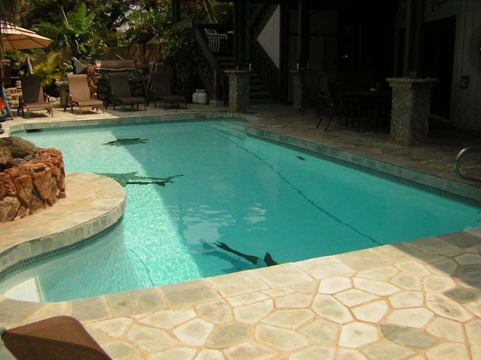 Der Pool und die Terrasse Hotel House of Fountains