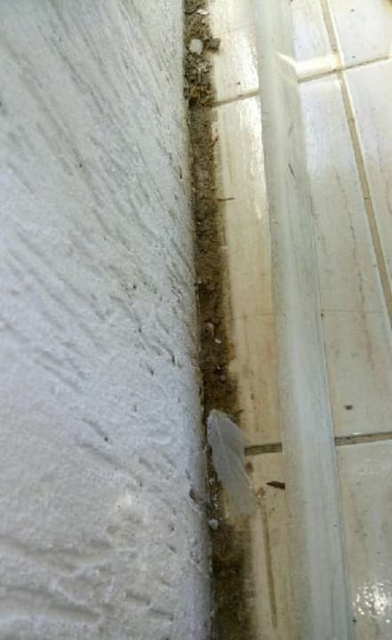 Zimmer Hotel Laguna Garden