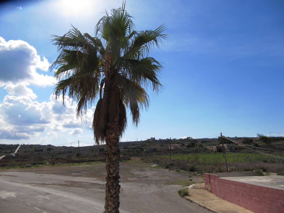 Ausblick zur Landseite Riviera Spa Resort - Adults Only