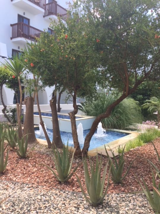 Gartenanlage TUI BLUE Oceanis Beach and Spa Resort