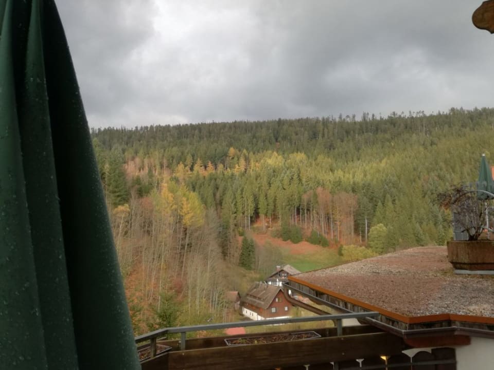 Ausblick Wellnesshotel Forsthaus Auerhahn