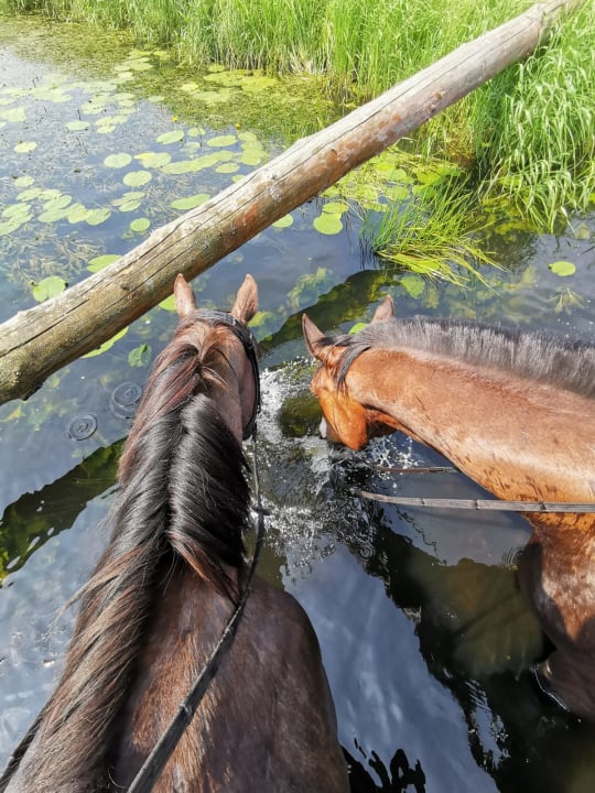 Sport & Freizeit Landhotel Mehrin