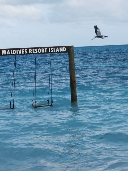 Ausblick Meeru Maldives Resort Island