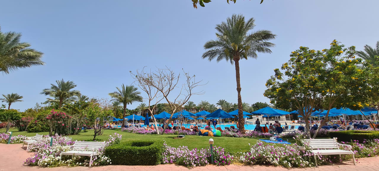 Gartenanlage Desert Rose