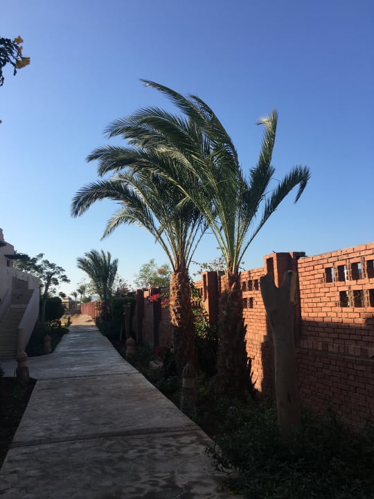 Sonstiges Shams Alam Beach Resort