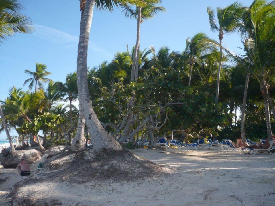 Strand vom RIU Taino Hotel Riu Palace Bavaro