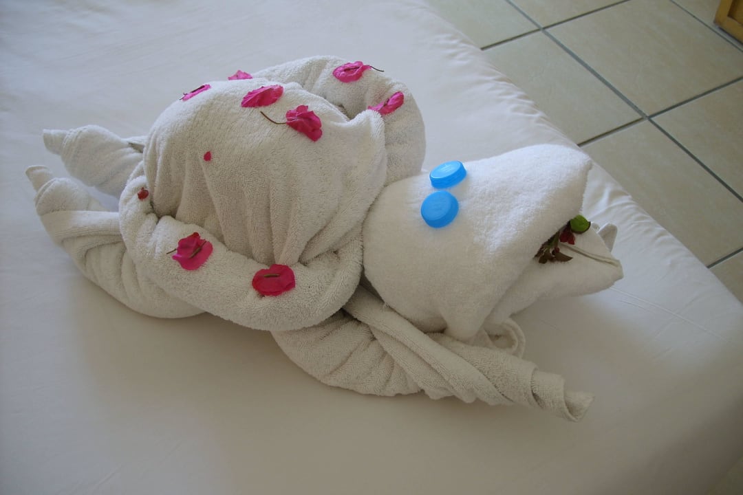 Schildkröte Hotel JAZ Makadi Star & Spa