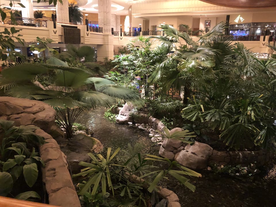 Gartenanlage Grand Hyatt Dubai