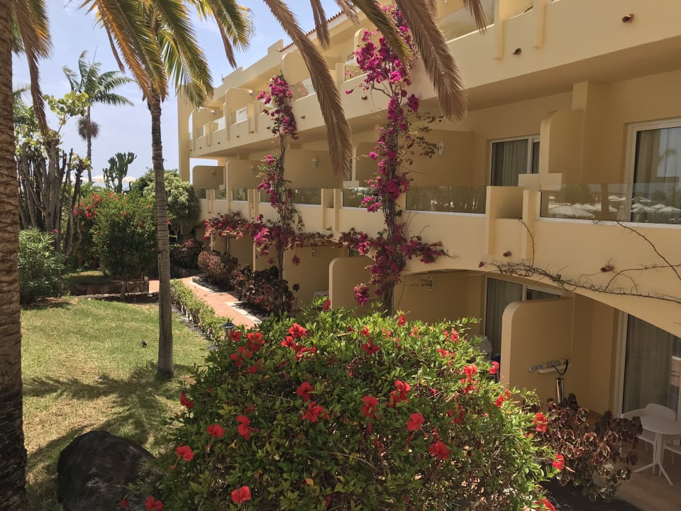 Außenansicht R2 BUGANVILLA Hotel & Spa