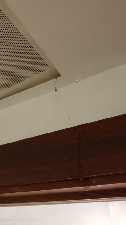 Zimmer Hotel Vista Odin