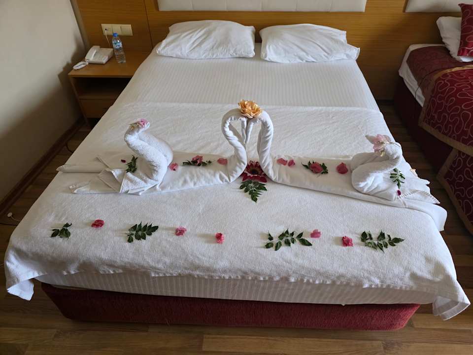 Zimmer Alaiye Resort & Spa