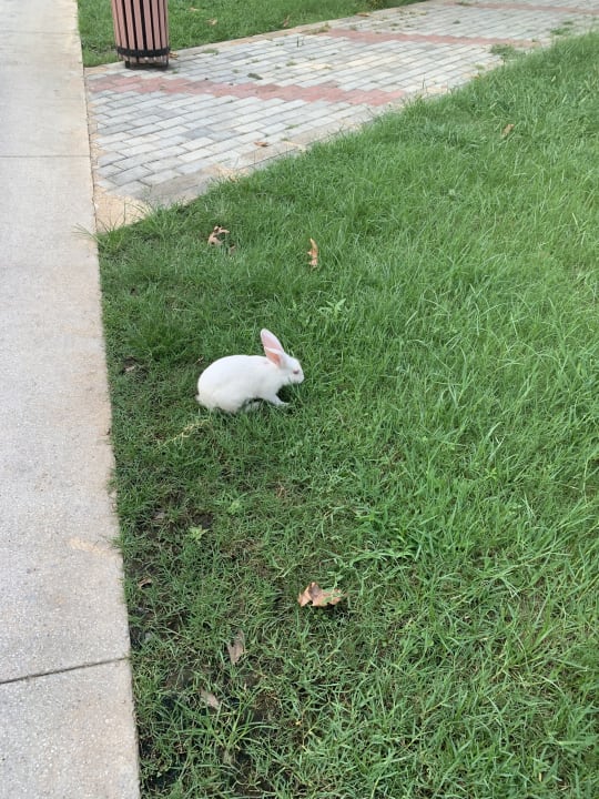 Sonstiges Labranda Alantur Resort