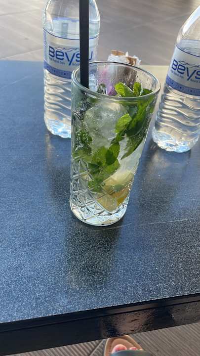 Gastro Adalya Elite Lara