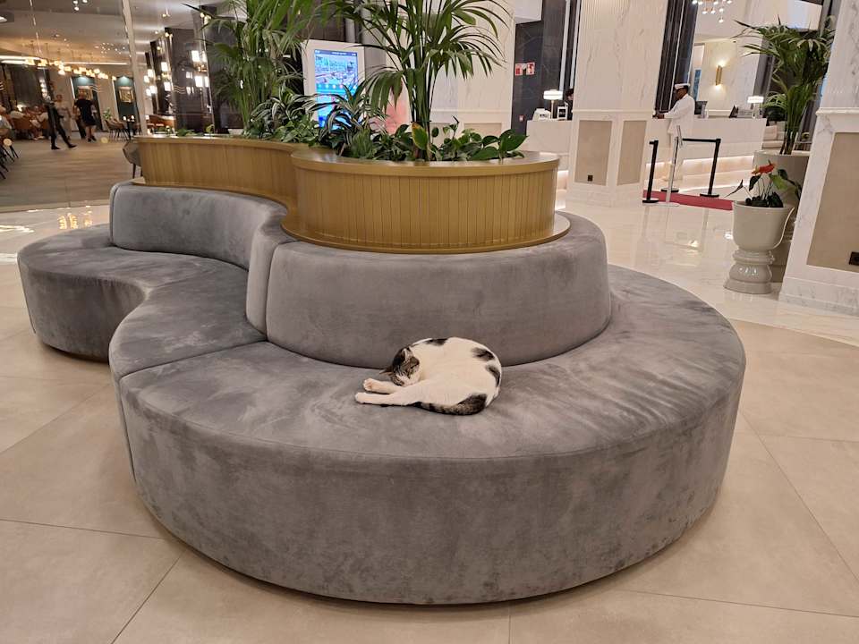 Lobby Hotel Riu Palace Maspalomas Adults Only