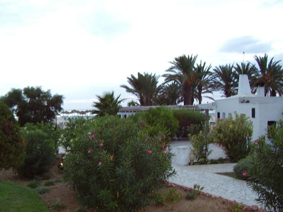 Blick von der Terrasse unseres Bungalows Steigenberger Marhaba Thalasso Hammamet