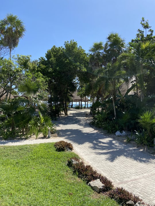 Gartenanlage Grand Palladium Select White Sand Resort & Spa