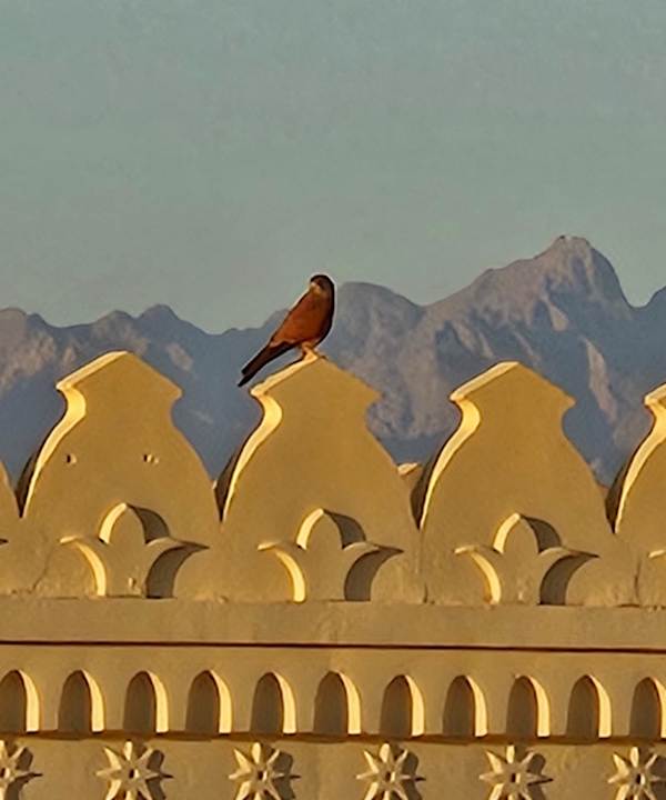Ausblick Grand Waterworld Makadi & Family Star Makadi