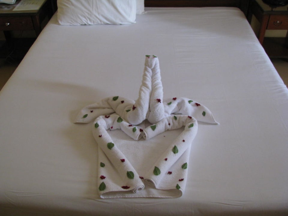 Pokój Palmyra Amar El Zaman Aqua Park