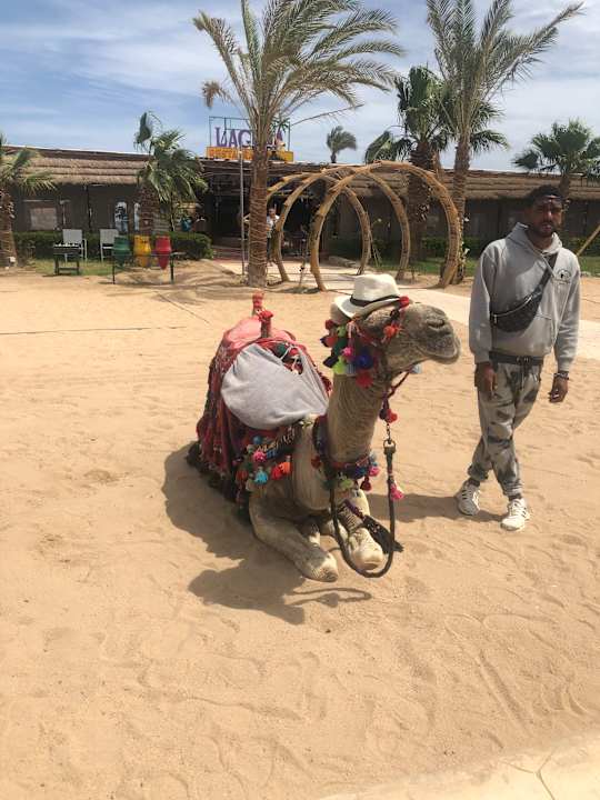 Strand Ali Baba Palace Resort