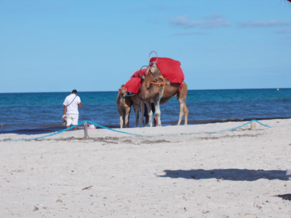 Kamel Djerba Aqua Resort