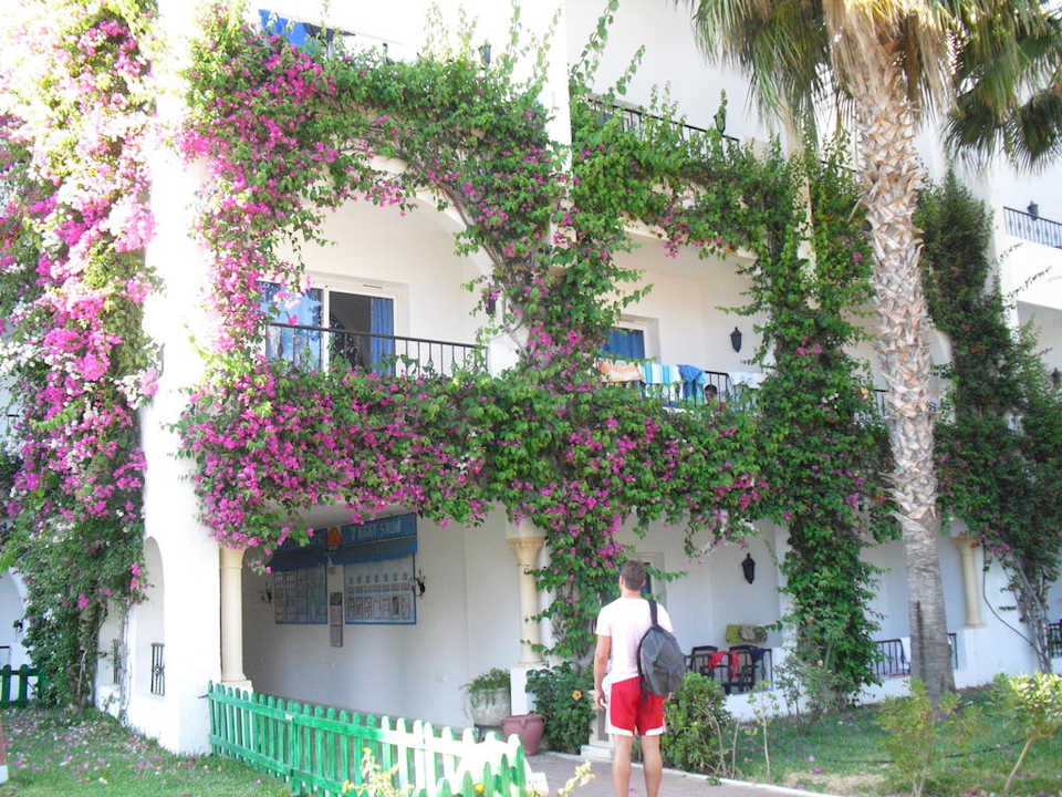 Wunderschön bewachsene Balkone Hotel Nesrine