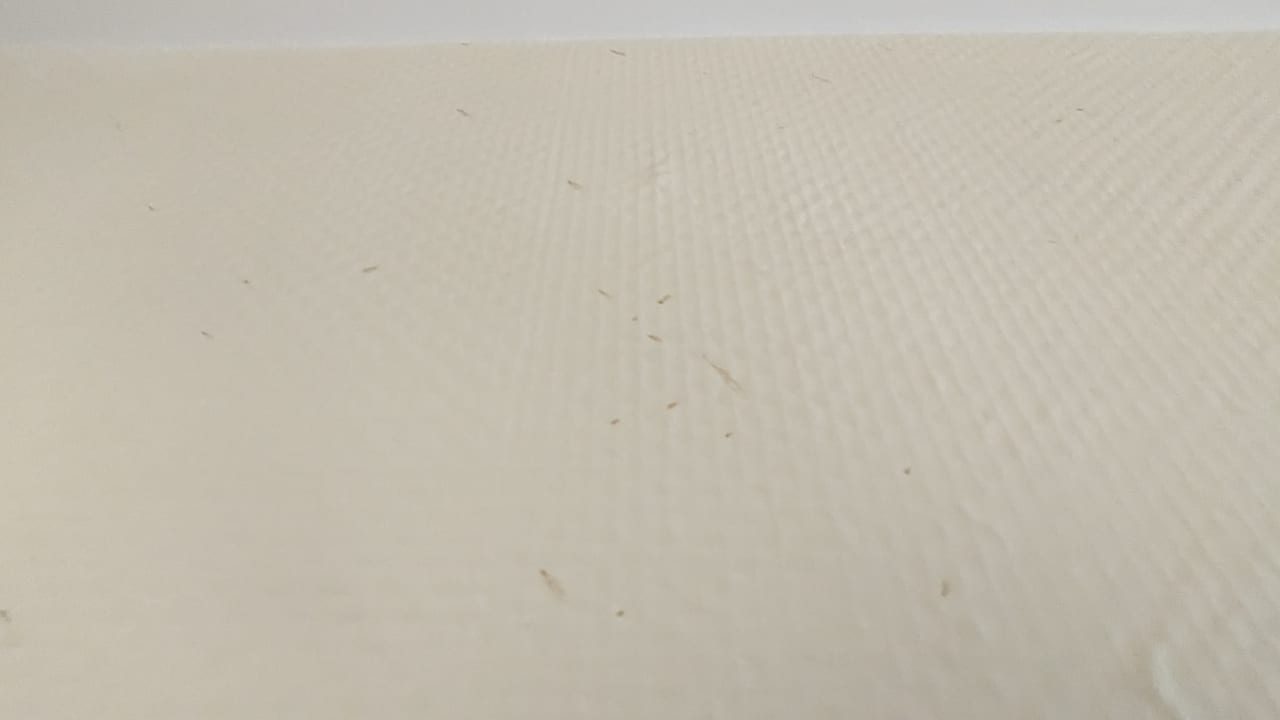 Zimmer acom Hotel Berlin Kurfürstendamm