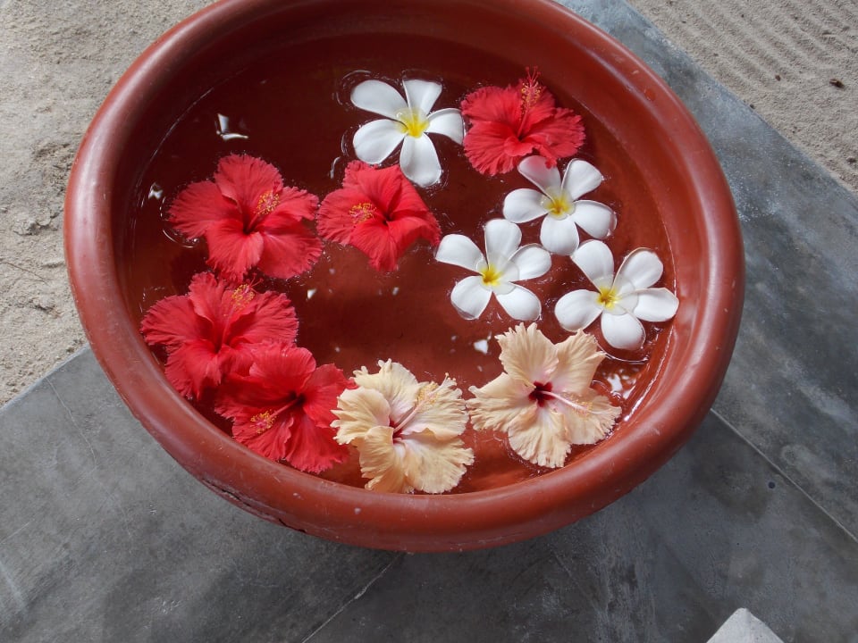 Fußwaschbecken Adaaran Select Hudhuran Fushi - Premium All Inclusive