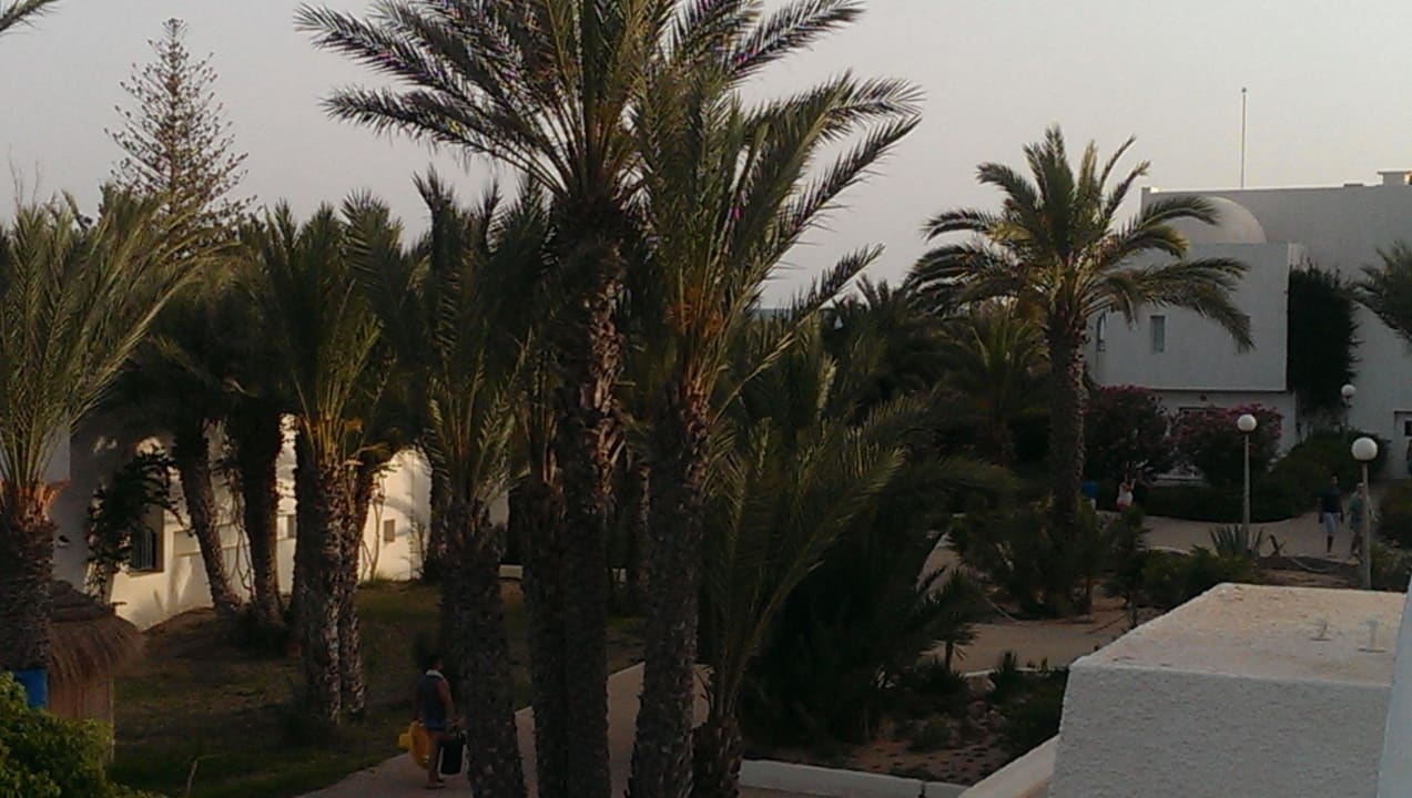 Anlage Hotel El Mouradi Djerba Menzel