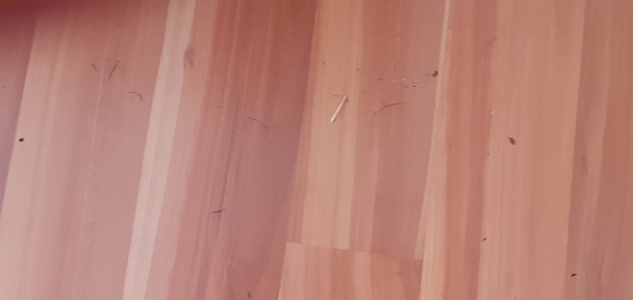 Zimmer Seehotel Birkenhof