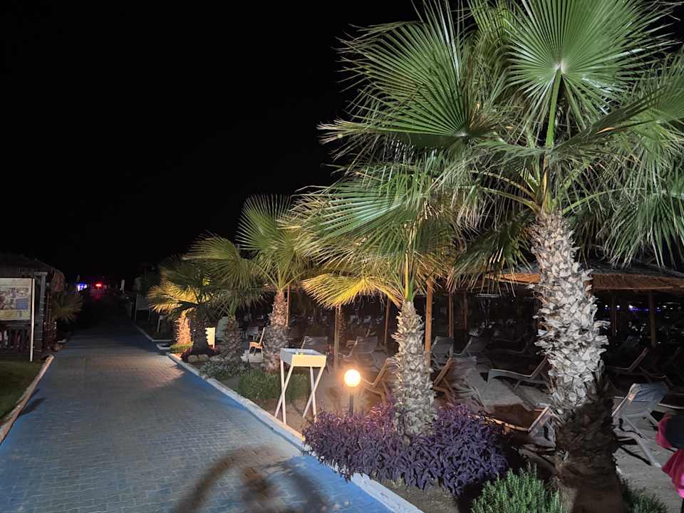 Gartenanlage Hotel Delphin Imperial