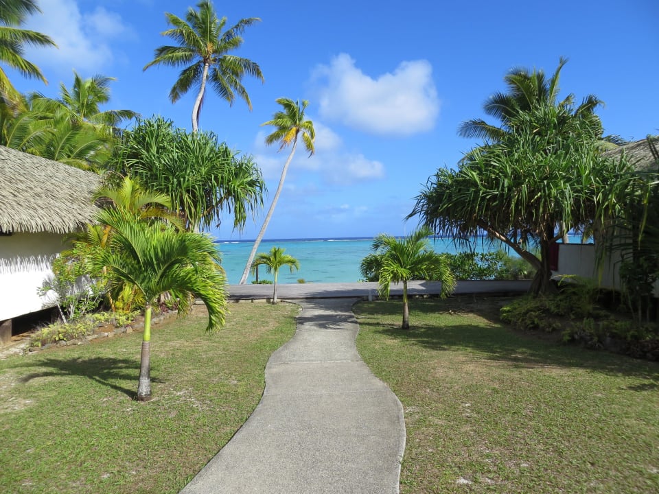 Der Strand  Hotel Tamanu Beach