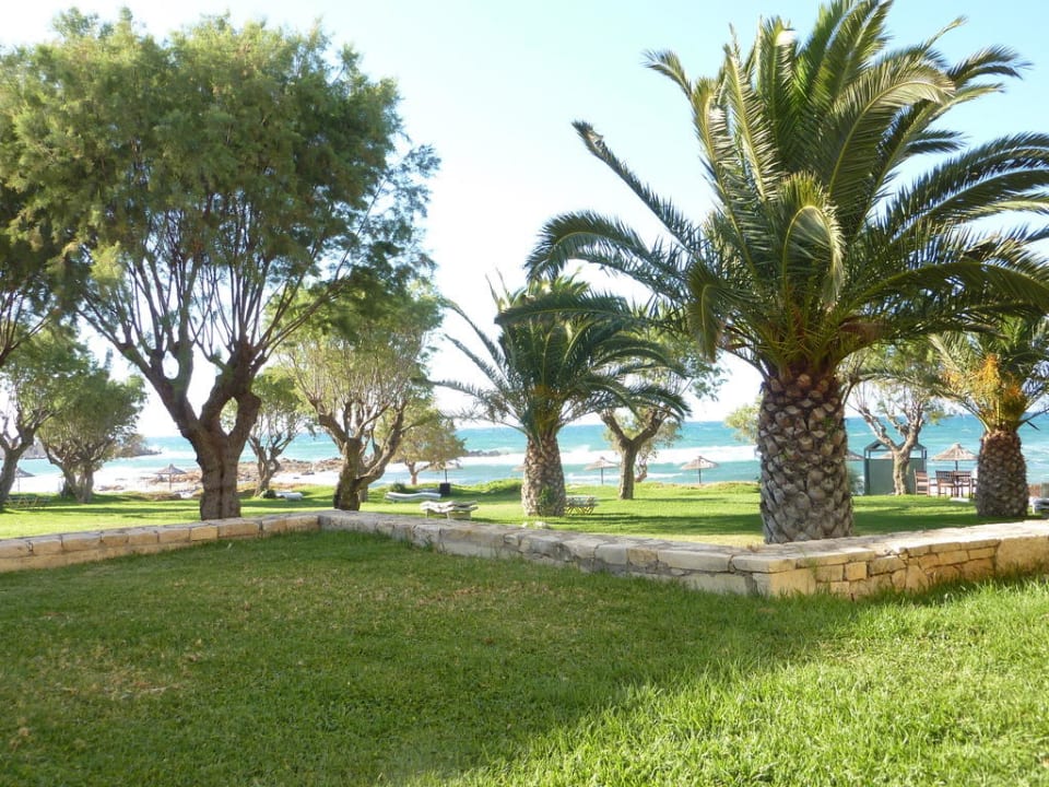 Blick Richtung Meer Phãea Cretan Malia