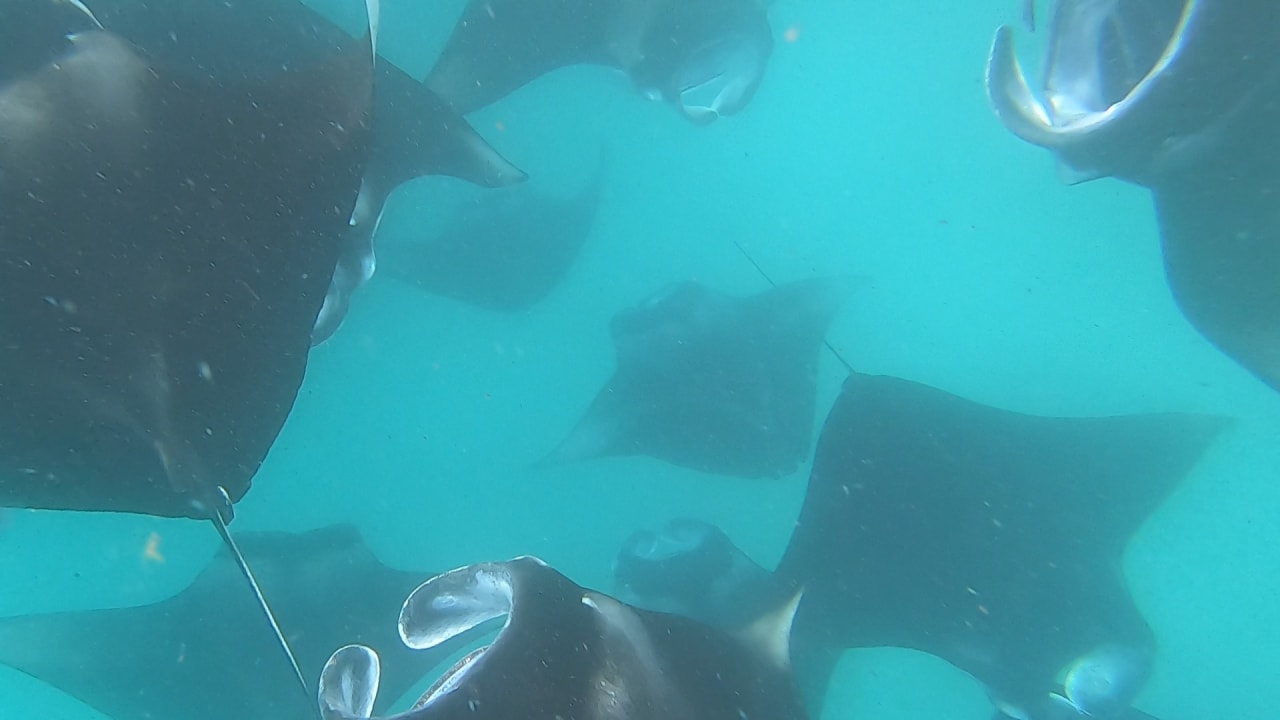 Sport & Freizeit NH Collection Maldives Reethi Resort